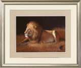 Majestic Lion Posters by Silvia Duran