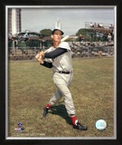 Ted Williams Framed Photographic Print