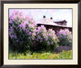 Sunny Morning Prints by Alexander Kosnichev