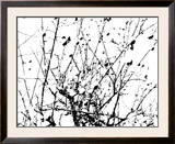 Pommier, 2008 Prints by Monti-xhoffer 