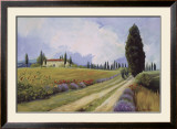 Holiday in Tuscany Prints by Hawley 