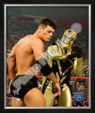 Gold Dust Framed Photographic Print