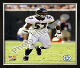 Bart Scott Framed Photographic Print