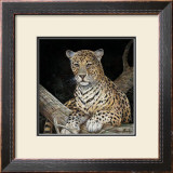 Leopard Poster by Ruane Manning
