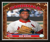 Bob Gibson Framed Photographic Print