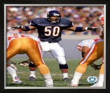 Mike Singletary Framed Photographic Print