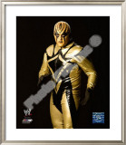 Gold Dust Framed Photographic Print