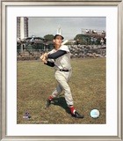 Ted Williams Framed Photographic Print