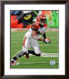 Leon Hall Framed Photographic Print