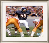 Mike Singletary Framed Photographic Print