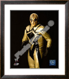 Gold Dust Framed Photographic Print