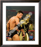Gold Dust Framed Photographic Print