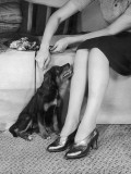 'Walkies'! Photographic Print