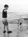 A Boy Throws Stones into the Sea for His Dog to Retrieve: the Dog Looks Up Expectantly Photographic Print by Henry Grant