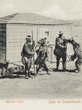 Two Dancing Bears and their Attendant Musicians/Owners - Constantinople Photographic Print