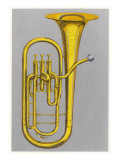 Tuba Colour Illustration Giclee Print