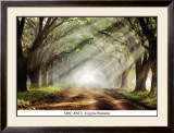Evergreen Plantation Posters by Mike Jones