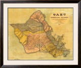 Oahu, Hawaiian Islands, c.1899 Framed Giclee Print by T. D. Beasley