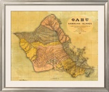 Oahu, Hawaiian Islands, c.1899 Framed Giclee Print by T. D. Beasley