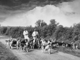 Two Kennel Workers Exercising Foxhounds on an English Country Lane Photographic Print
