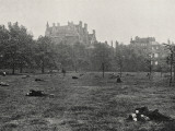 Vagrants Asleep in Green Park, Central London Photographic Print by Peter Higginbotham