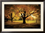 Under the Tree Prints by M. Ellen Cocose