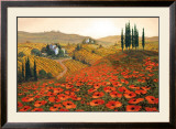 Hills of Tuscany II Poster by Steve Wynne