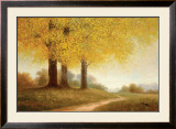 Meadow Path Poster