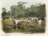 A Cossack Bivouac Photographic Print