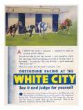 White City Greyhound Racing Advertisement Giclee Print