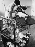 Cat on Operating Table Photographic Print