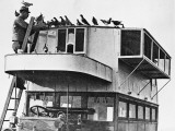 French Communications Via Carrier Pigeons During World War I Photographie par Robert Hunt