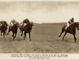 Horses at Newmarket Photographic Print