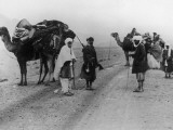 Arabian Camel Caravan Photographic Print
