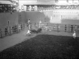 Scene in a Sporting Arena, India Photographic Print