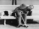 Sleeping Man and Pet Dog on Bench - South of France 1977 Photographic Print by Shirley Baker