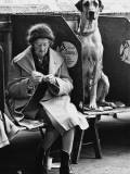 Knitting and the Great Dane - Manchester Dog Show 1966 Photographic Print by Shirley Baker