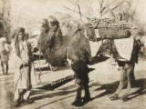 Bukhara - Uzbekistan Photographic Print