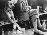 Crossed Legs at a Manchester Dog Show Photographic Print by Shirley Baker