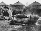 Ram Roastings, Devon Photographic Print