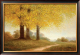Meadow Path Poster