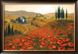 Hills of Tuscany II Prints by Steve Wynne