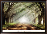 Evergreen Plantation Poster by Mike Jones