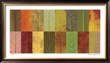 Lark Creek II Limited Edition Framed Print by John Watson