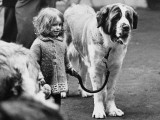 Small Girl with Very Large St. Bernard Dog Photographic Print by Shirley Baker