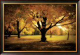 Under the Tree Prints by M. Ellen Cocose
