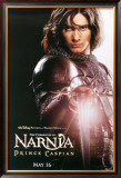 Chronicles Of Narnia: Prince Caspian Photo