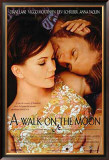 A Walk On The Moon Posters