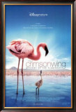The Crimson Wing: Mystery Of The Flamingos Prints