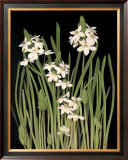 Spray of Narcissus Print by Tan Chun